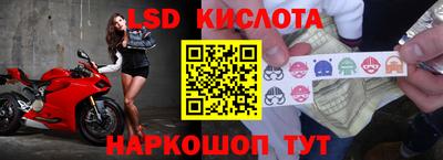 индика Кандалакша