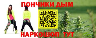индика Кандалакша