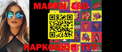 индика Кандалакша